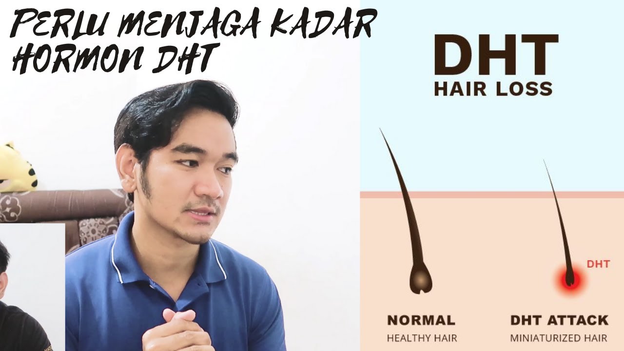 EFEK HORMON DHT (PENYEBAB KEBOTAKAN)