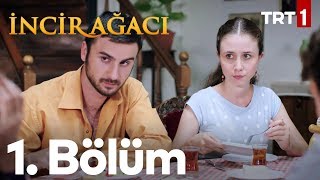 İncir Ağacı 1 Bölüm