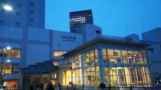 心理学のお仕事自分で作るよ🔥　【心理学 × 本】