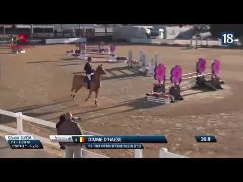 Tita Tattoo D'hoge Rielen - Sunshine Tour