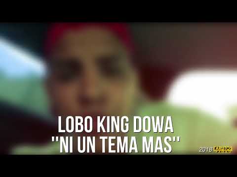 Lobo King Dowa - ''Ni Un Tema Mas'' (Audio Oficial)