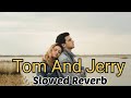 TOM And JERRY Slowed Reverb Satbir Aujla Satti Dhillon Divya Puri Punjabi Songs