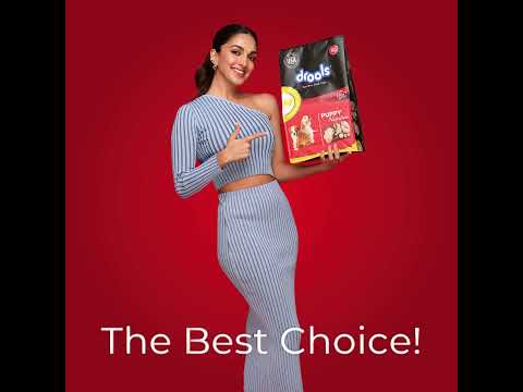 20kg Drools Adult Dry Dog Chicken Food