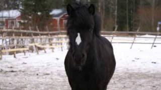 Super Kasper, hold your head up high