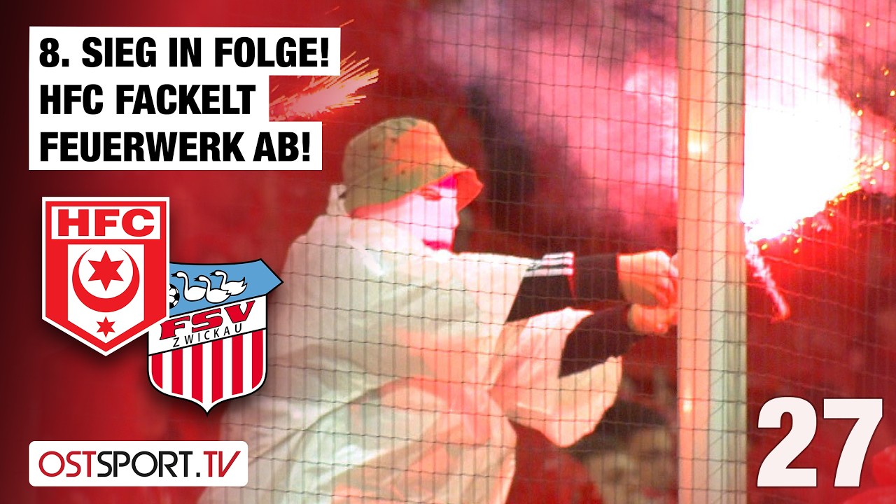 Hallescher vs FSV Zwickau Highlights