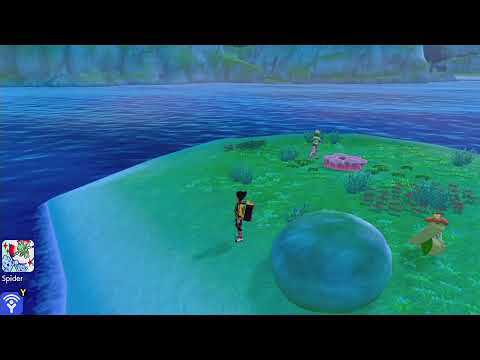 Pokémon Spada - L’isola solitaria dell’armatura [DLC]