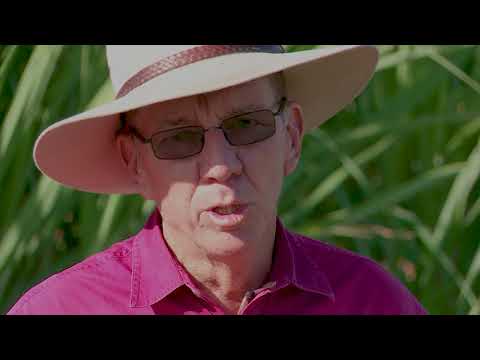 Barratta Creek Water Quality Monitoring Project