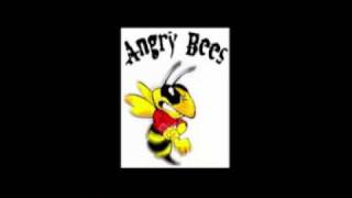 Angry Bees - This Love (Maroon 5 cover)