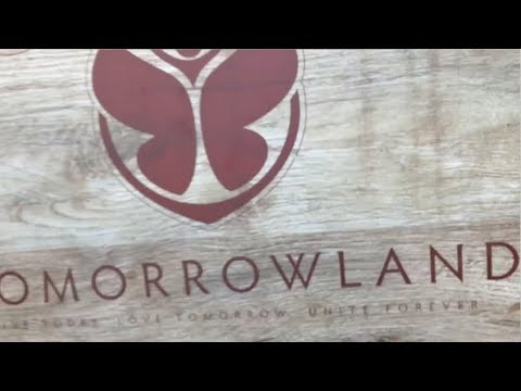 THREE MASSIVE SHOWS! Tomorrowland, Electronic Family and Sunrise Festival (My Story #062)