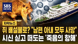 쥐 배설물로? "남편 아내 모두 사망"..시신 싣고 떠도는 '죽음의 항해' (자막뉴스) / SBS