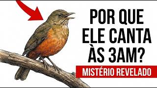 Miniatura do vídeo