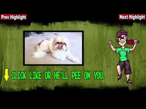 Best of Happy Wheels RAP SONG!!156