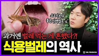 치즈에 살아있는 벌레를 넣고 먹는다… 인류가 벌레를 먹어온 이유ㅣ의학의 역사