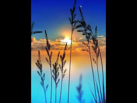 ✨Mi wani libi, foe libi gi joe wawang✨(Cover)