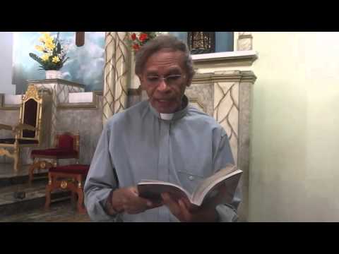 Evangelho do Dia com o Pe. JOão Maria (Lc 17,20-25)