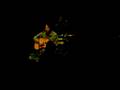 Damien Jurado - Dimes