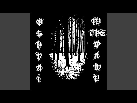 In The Womb Of Leviathan