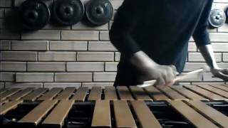 Tenderly (Bill Evans Version) - Vibraphone Solo