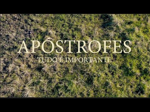 Tudo É Importante - Apóstrofes
