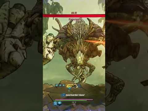 Borderlands 3 - FL4K Graveward World Record Speed Kill?