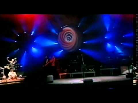 Lucie Turne Slunecnice 2001 -  Hvezda