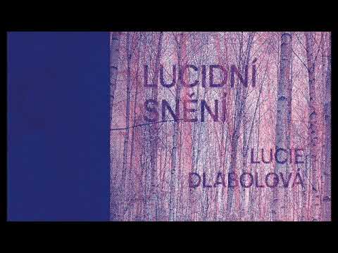 Lucie Dlabolová - Jsi rorýs (Ján Sedal)