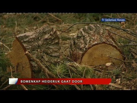 GLD Nieuws 19 mei 2010 - Nieuws
