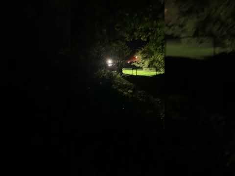 16 årig dreng stikker af for politiet (endte med fangst)