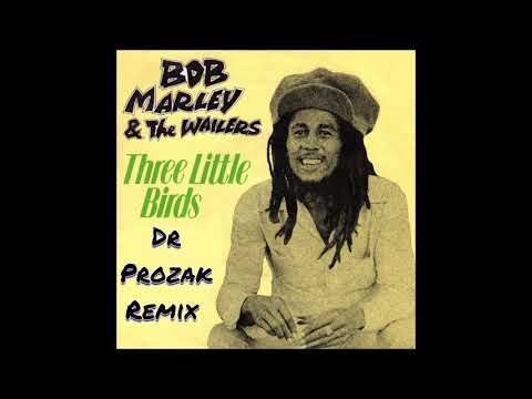 Bob Marley - Three Little Birds (Dr Prozak Remix)