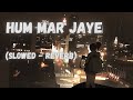 Hum Mar Jayenge - Aashiqui 2  [Slowed + Reverb] | Tulsi Kumar, Arijit Singh | Bollywood Music Vibe