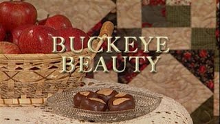 "Buckeye Beauty" Quilts Through the Seasons series