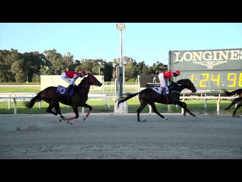 220910 c07 MARIA´S DREAM