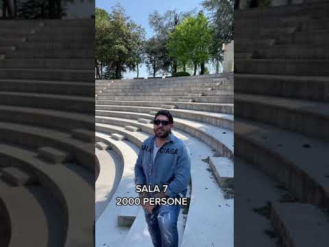 Ecco le 7 SALE del Number One! - Steven Basalari 🔥