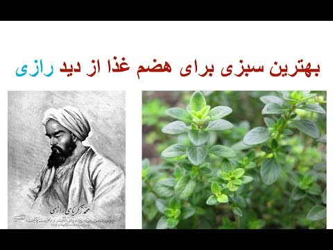 حتما بعد از خوردن هر وعده غذایی این سبزی را میل کنید