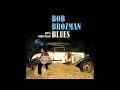 Bob Brozman - People Are Strange (The Doors ...