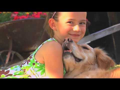 Video: ABC 7 News at 6pm - Thursday August 16, 2018