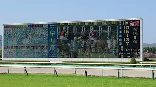 第84回 G1 皐月賞　阪神競馬場ターフビジョン(2024/4/14)