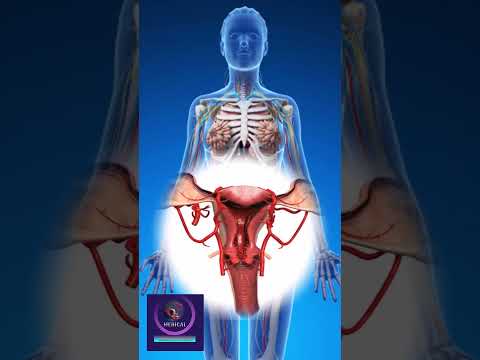 Reproduction 3D animation - Female Reproductive System