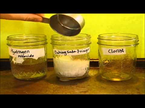 download lagu mp3 mp4 Dissolve Hair In Drain Naturally, download lagu Dissolve Hair In Drain Naturally gratis, unduh video klip Dissolve Hair In Drain Naturally