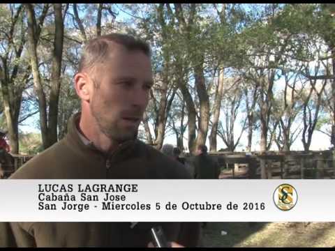 05-10-16 Nota Lucas Lagrange - Ricardo Peiretti S.A. - San Jorge.