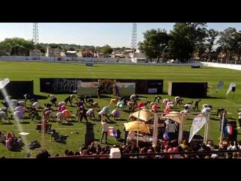 Farandula 2019 - Polivalente