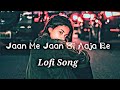 Jaan Me Jaan Si Aaja Re Full Song Lofi Slow Reveb Udit Nayaran