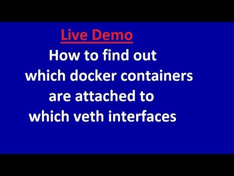 How to find out which docker containers are attached to which veth interfaces