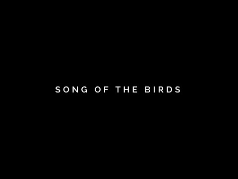 Song of the Birds - Traditional Catalan song, performed by Van Diemen's Band