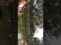 Janamashtami SAMBA