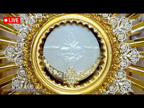 Perpetual Adoration Live✨Eucharistic Adoration Live Stream✨Live Adoration of the Blessed Sacrament