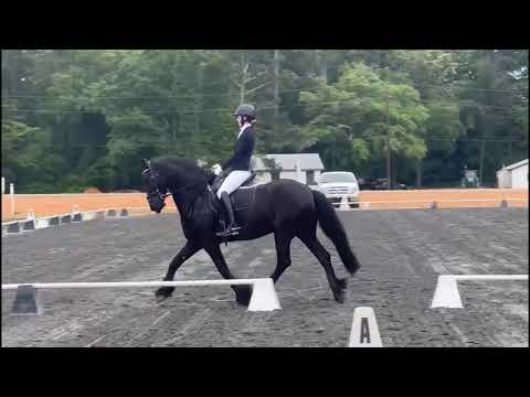 Remy- Friesian gelding for sale Second Level test 1- 68.2%