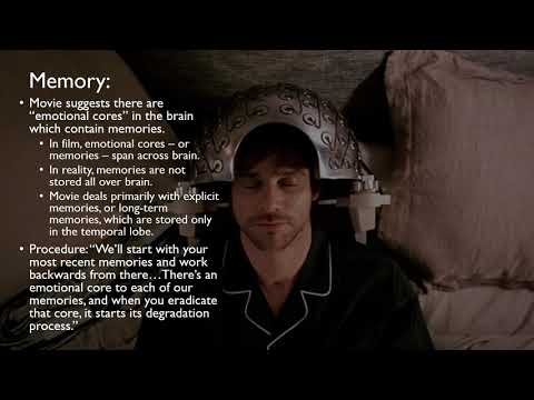 Movie Project - PSY105