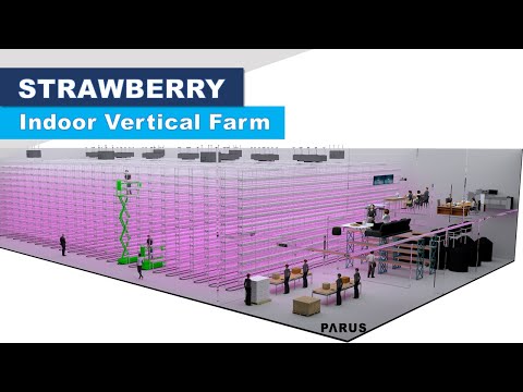 Strawberry Vertical Farm   PARUS