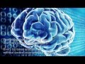 Computer Brains